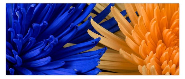 Részletes virágkép (120x50 cm)