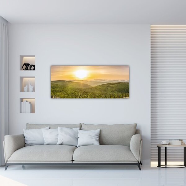 Panorámakép (120x50 cm)