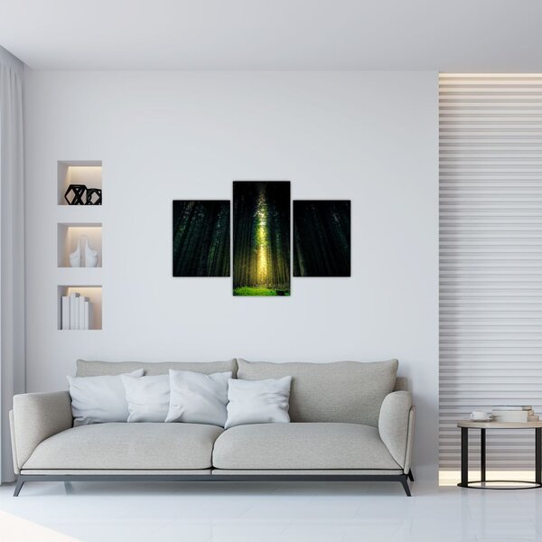 Sötét erdő képe (90x60 cm)