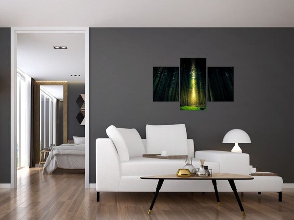 Sötét erdő képe (90x60 cm)