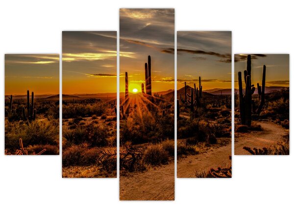 Kép - A nap vége az arizonai sivatagban (150x105 cm)