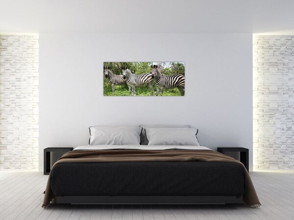 Zebrák képe (120x50 cm)