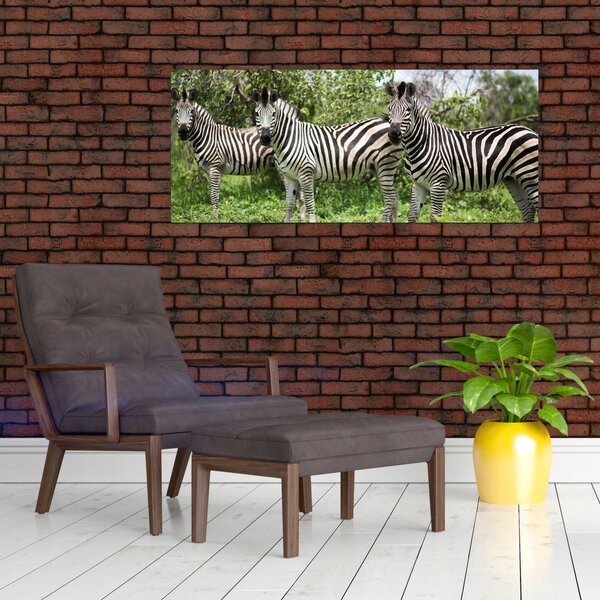Zebrák képe (120x50 cm)