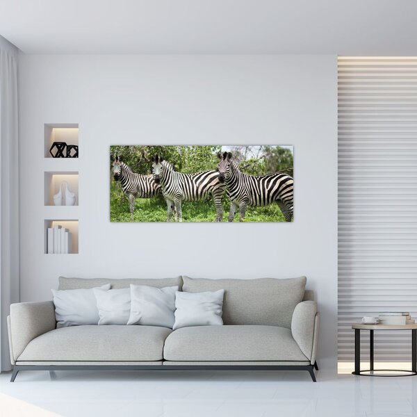 Zebrák képe (120x50 cm)