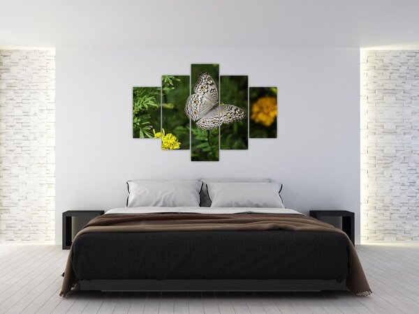 Kép - fehér pillangó (150x105 cm)
