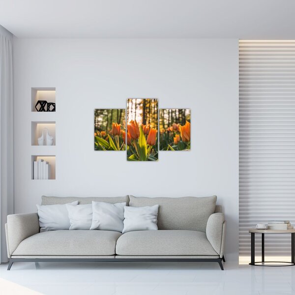 Narancssárga tulipán képe (90x60 cm)