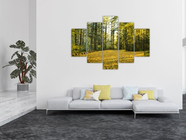 Kép - erdő ősszel (150x105 cm)