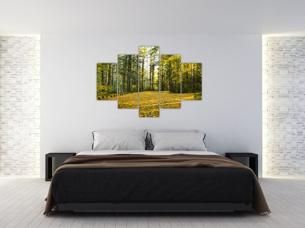 Kép - erdő ősszel (150x105 cm)