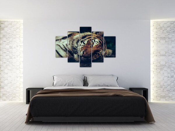 Kép - Szibériai tigris (150x105 cm)