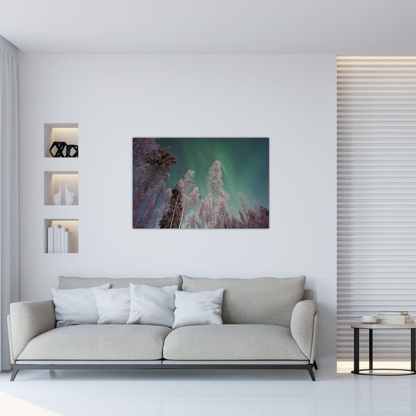 Az aurora borealis képe fagyos fák felett (90x60 cm)