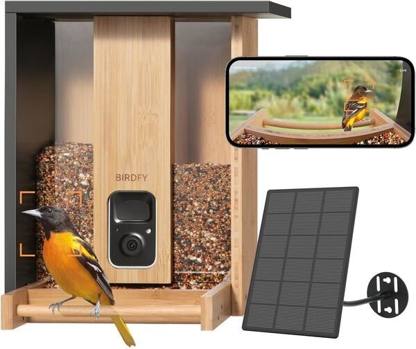 Birdfy Bamboo Lite Solar intelligens madáretető AI előfizetéssel