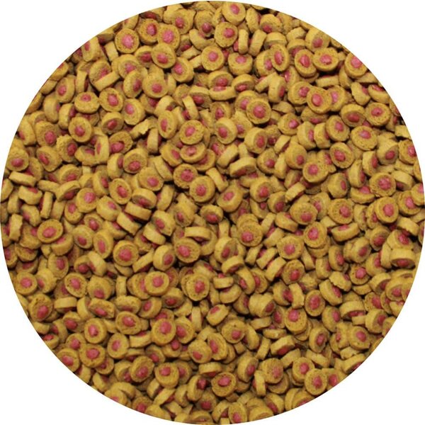 SERA 106657 KOI Professional Summer Food - Kerti tó nyári haleledel 1000ml (500g)
