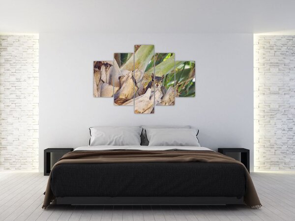 Mókus képe a fán (150x105 cm)
