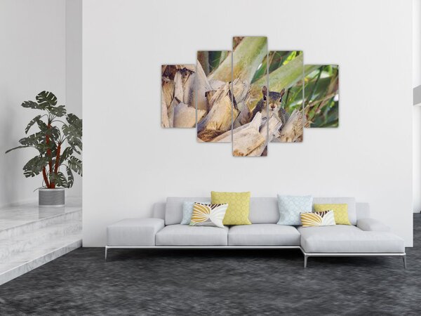 Mókus képe a fán (150x105 cm)