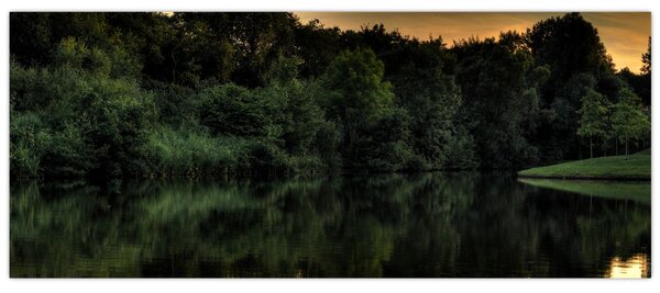 A tó képe az erdő mellett (120x50 cm)
