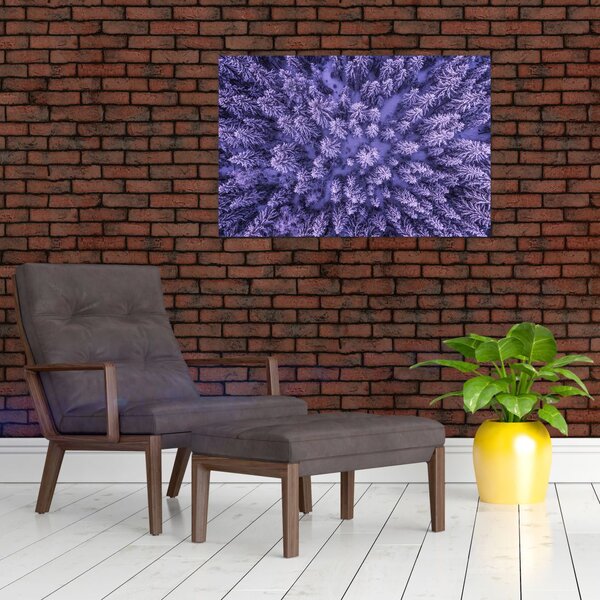 Havas fák képe (90x60 cm)