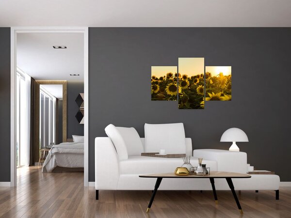 A napraforgó mező képe (90x60 cm)