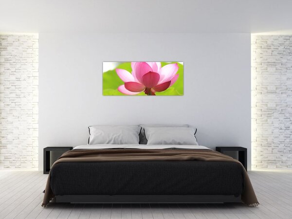 Lótuszvirág kép (120x50 cm)