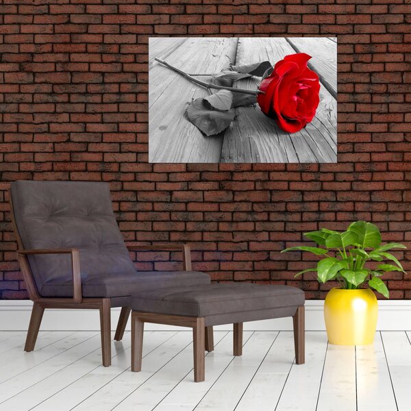 Egy vörös rózsa képe (90x60 cm)