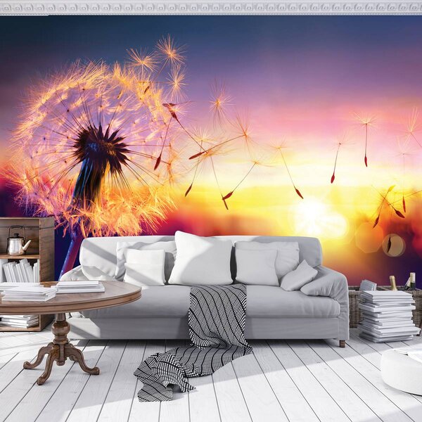 Fotótapéta - Pitypang (152,5x104 cm)