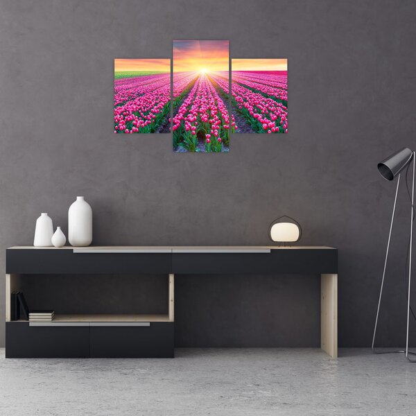 Tulipán mező és a nap képe (90x60 cm)