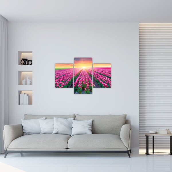 Tulipán mező és a nap képe (90x60 cm)