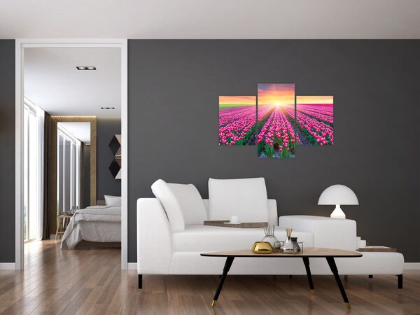 Tulipán mező és a nap képe (90x60 cm)