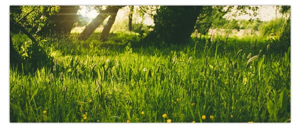 Tájkép - rét (120x50 cm)