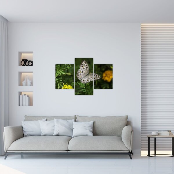 Kép - fehér pillangó (90x60 cm)