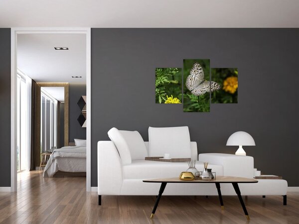Kép - fehér pillangó (90x60 cm)