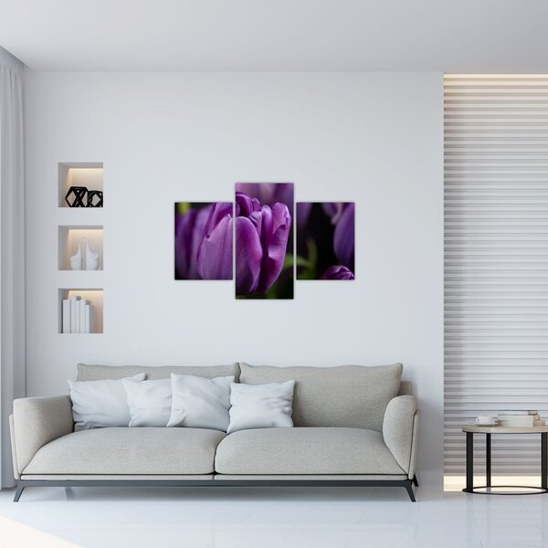Tulipán vírág képe (90x60 cm)