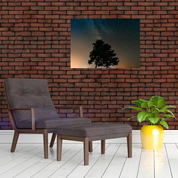 Egy éjszakai égbolt fákkal képe (70x50 cm)