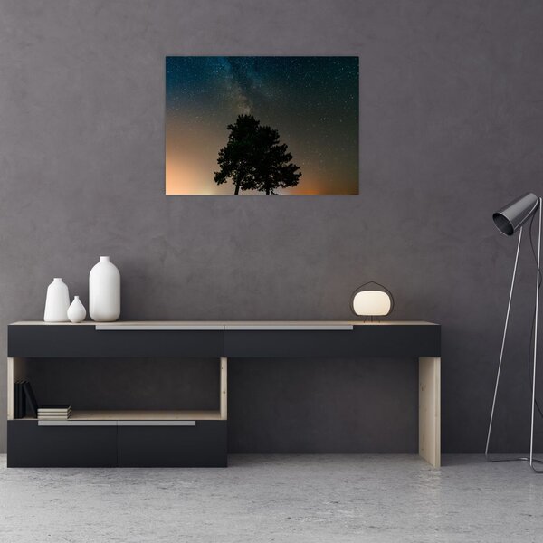 Egy éjszakai égbolt fákkal képe (70x50 cm)