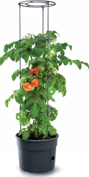 Prosperplast TOMATO GROWER kaspó paradicsom termesztésre 39,2 cm antracit