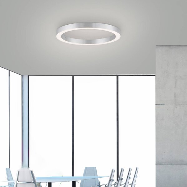 PURE LED mennyezeti lámpa Lines, Ø 50 cm, ezüst színű, CCT, dimmelhető, Alu / szürke / cink, Nappali / Étkező, Alumínium, Modern