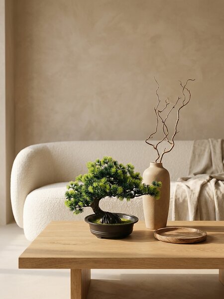 Sinsay - Dekoratív bonsai növény cserépben - zöld