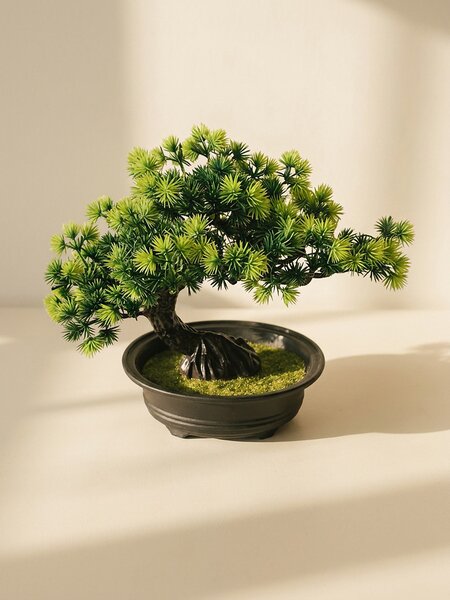 Sinsay - Dekoratív bonsai növény cserépben - zöld