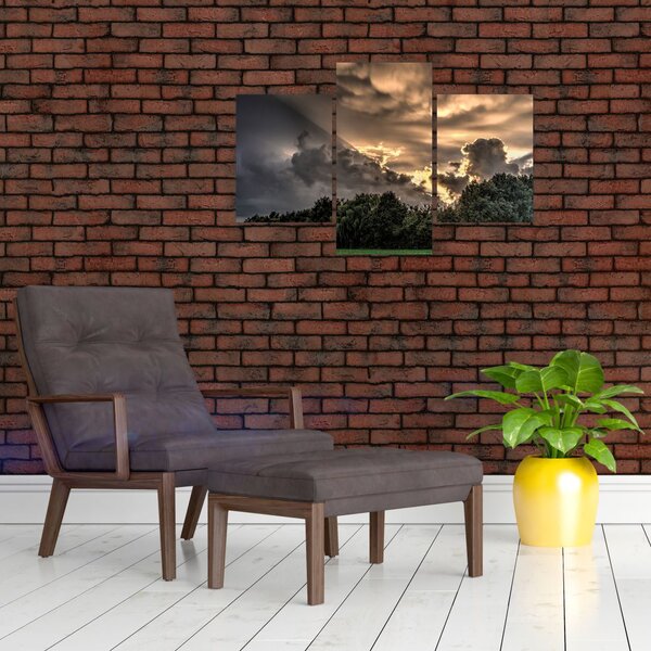 A felhők és az erdő képe (90x60 cm)