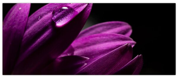 Kép - Vízcsepp (120x50 cm)
