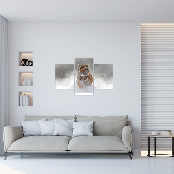 Futó tigris a hóban képe (90x60 cm)
