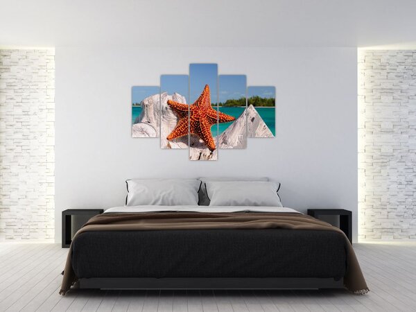 Egy tengeri csillag képe (150x105 cm)