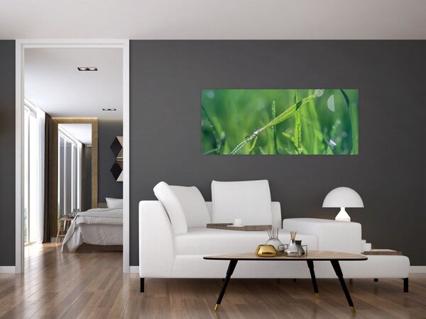 Harmat cseppek képe (120x50 cm)
