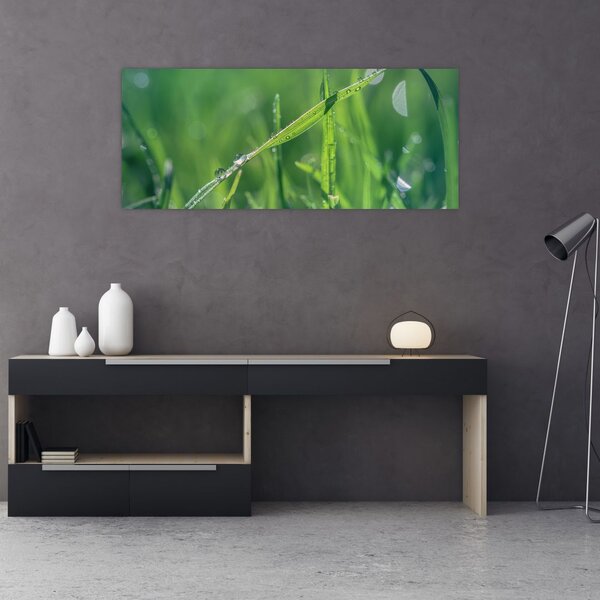 Harmat cseppek képe (120x50 cm)
