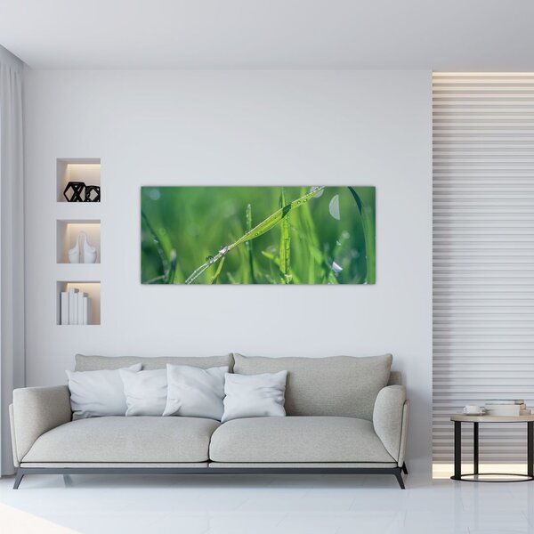 Harmat cseppek képe (120x50 cm)