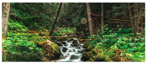 Patak képe az erdőben (120x50 cm)