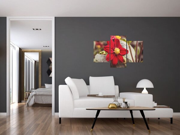 Virág képe (90x60 cm)