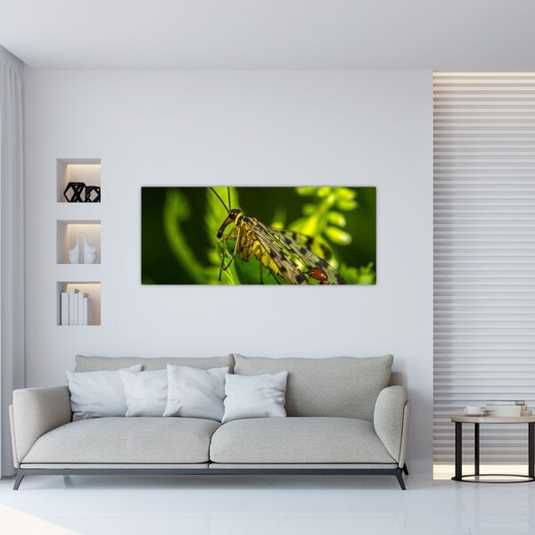 Rovar képe (120x50 cm)