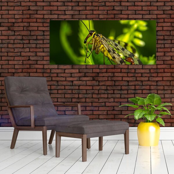 Rovar képe (120x50 cm)