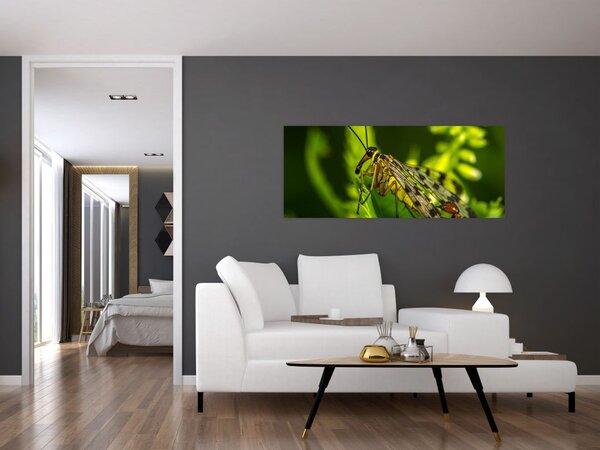 Rovar képe (120x50 cm)