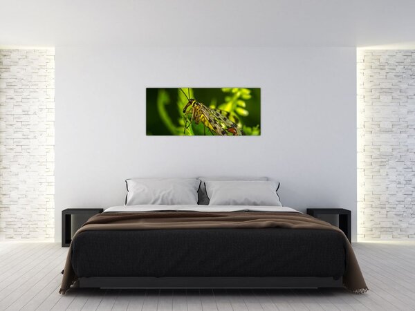 Rovar képe (120x50 cm)